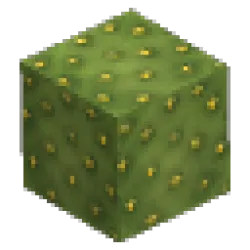Prototype - Cactus Block 2