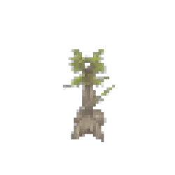Gumboab Sapling