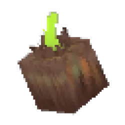 Onion Bulb (Eternal)