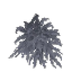 Petrified Pine Leaves