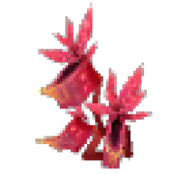 Blood Leaf