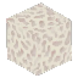 Dying Coral Block