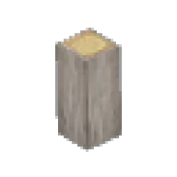 All Plants & Seeds image