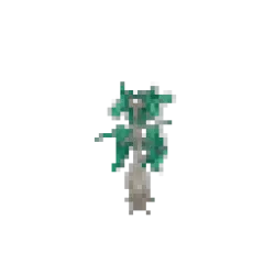 Camphor Sapling