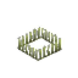 Green Mushroom Mycelium