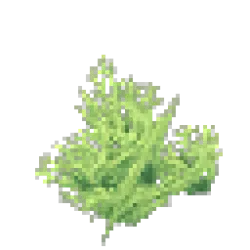 All Placeables image