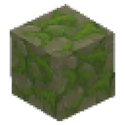 Mossy Stone