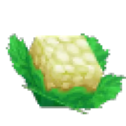 Cauliflower