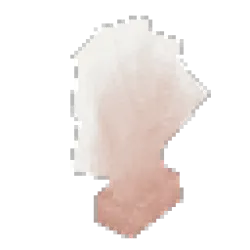 Dead Giant Coral Fan