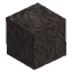 Petrified Tree Trunk