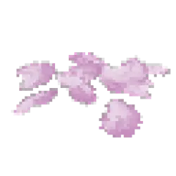 Pink Petals