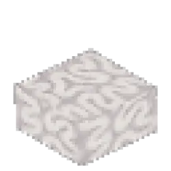 Dead Coral Block - Half Slab