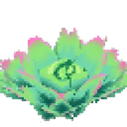 Prototype - Large Succulent