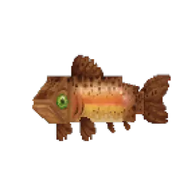 Rainbow Trout