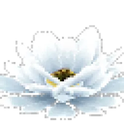 Prototype - Giant White Cactus Flower