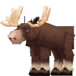 Moose Bull