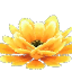 Prototype - Giant Yellow Cactus Flower