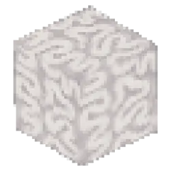 Dead Coral Block