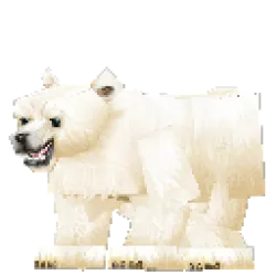 Polar Bear