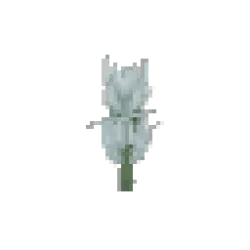 Stormbark Sapling