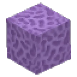 Purple Coral Block