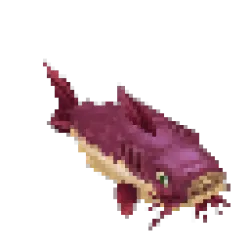 Catfish