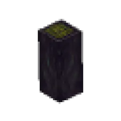 Poisoned Branch - Long