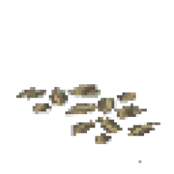 Mushroom Spawn