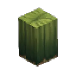 Prototype - Cactus Tall Thick Base