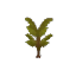 Palm Sapling