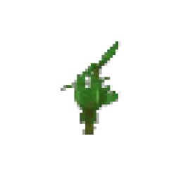 Jungle Sapling