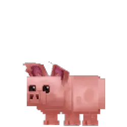 Pig