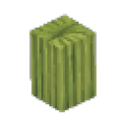 Prototype - Cactus Tall Thick Arm