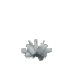 Prototype - White Cactus Flower