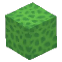 Green Coral Block