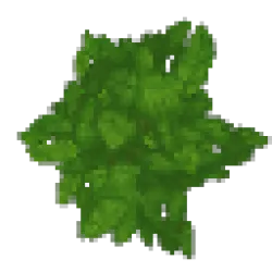 Filter - Tree Wood & Leaves