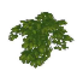 Wild Wisteria Leaves